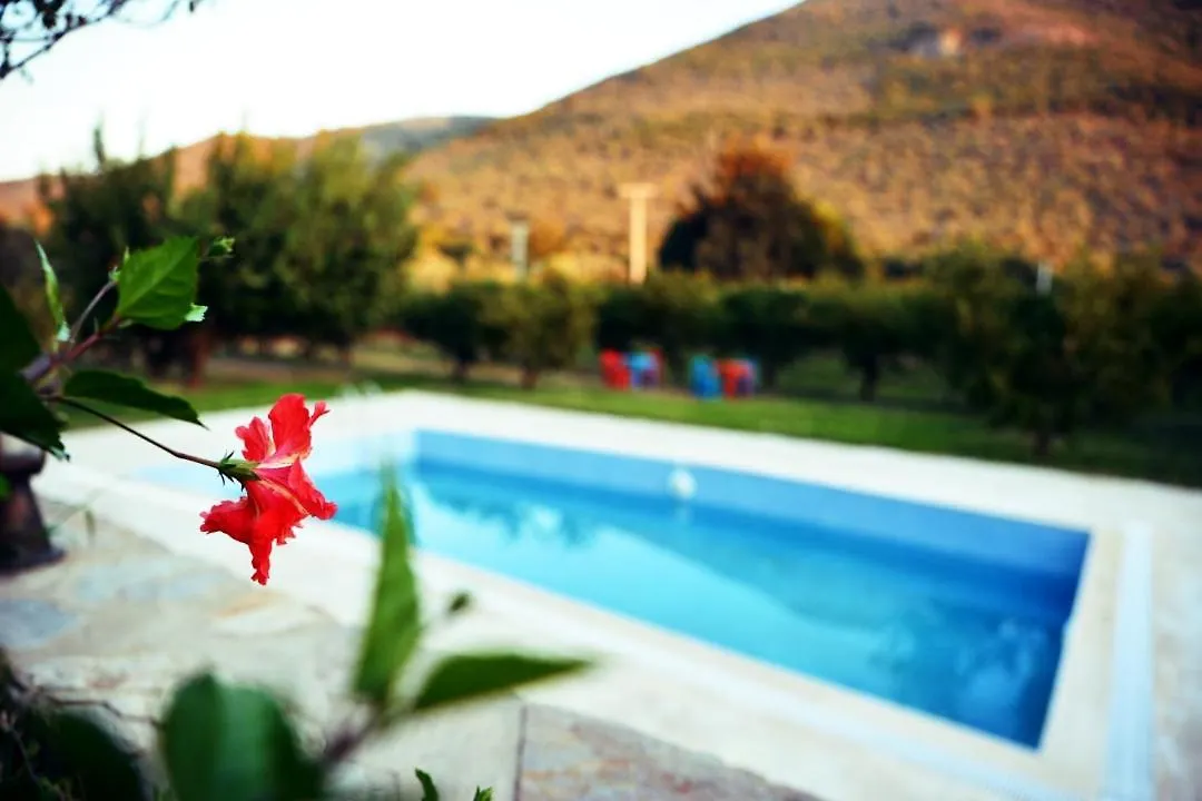 Hotel Pir Efes Konaklari Izmir Turkey
