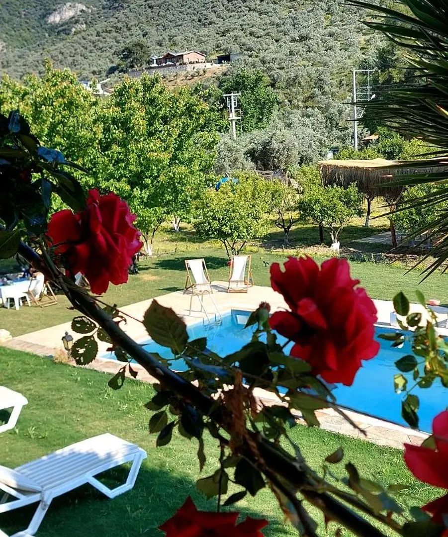Hotel Pir Efes Konaklari Izmir Turkey