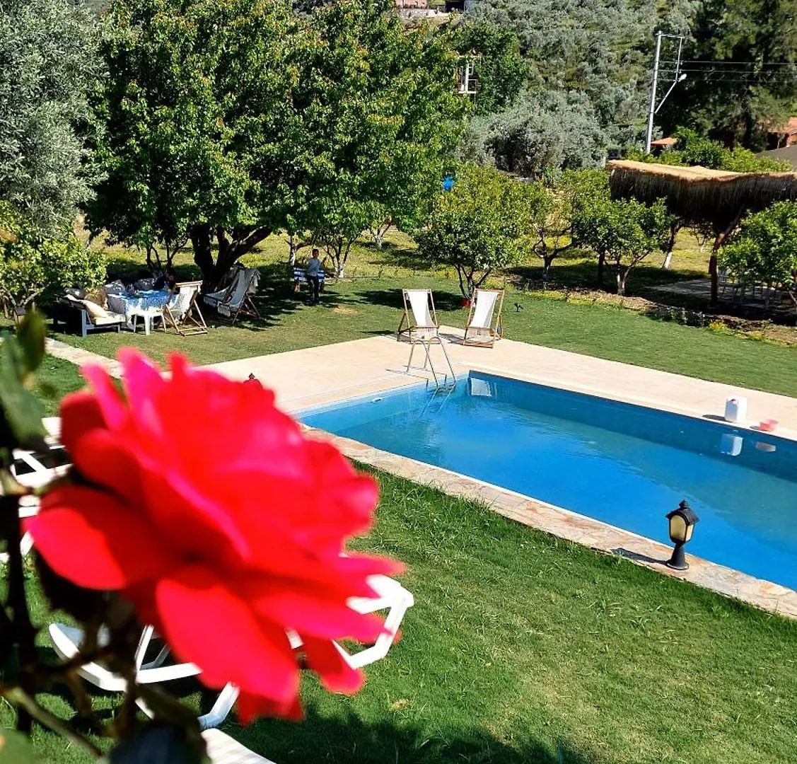 Pir Efes Konaklari Izmir 0*,  Turkey